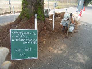 除草と表層土撤去