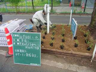 均等に植付ます