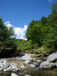 馬瀬川源流