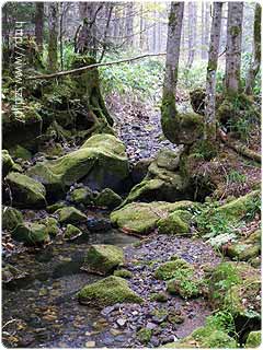 最上流、川の始まり