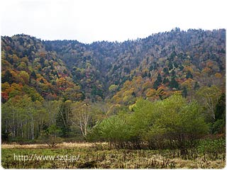 雄池の紅葉